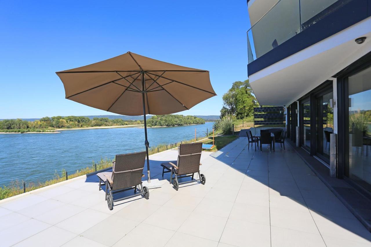 Rhein Lounge Apartment Urmitz Exterior photo